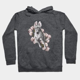 Borzoi Puppy Hoodie